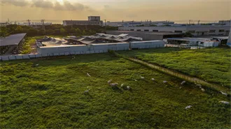 Best Solar Companies in Oklahoma City, OK (2026 Top Solar Installers)